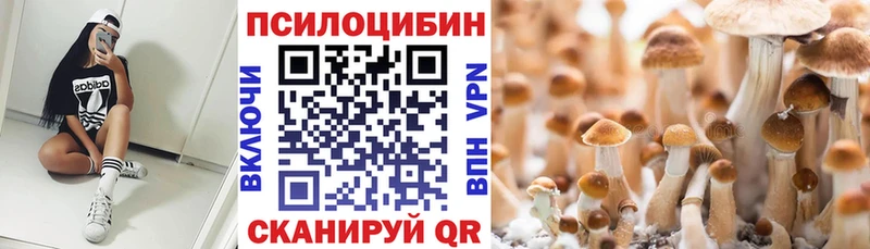Псилоцибиновые грибы GOLDEN TEACHER  Тимашёвск 